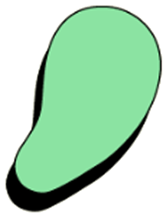 Ableismus